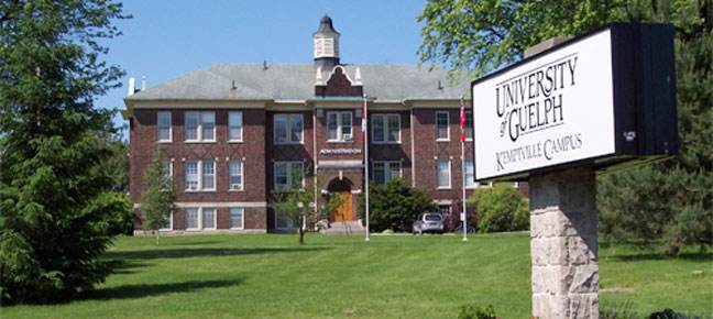 圭爾夫大學論文降重技巧有哪些