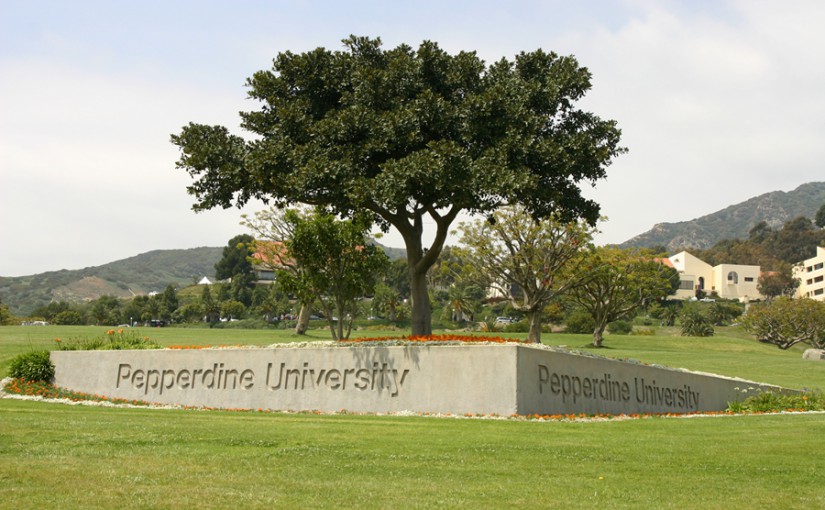 美國佩珀代因大學商業分析碩士能輔導什么內容？