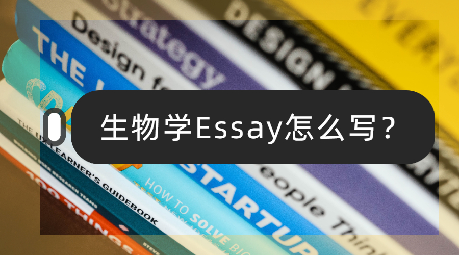 Essay怎么寫