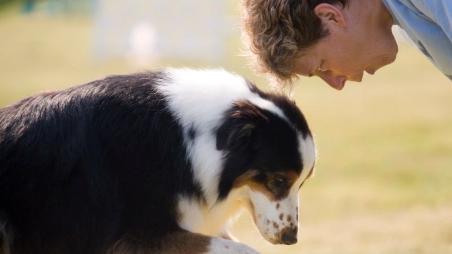 澳洲留學生課程輔導