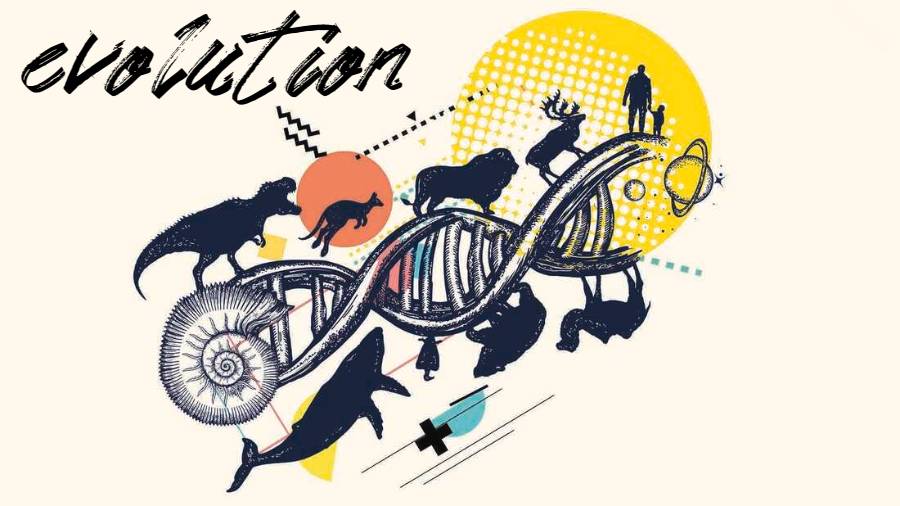 本科課程輔導(dǎo)