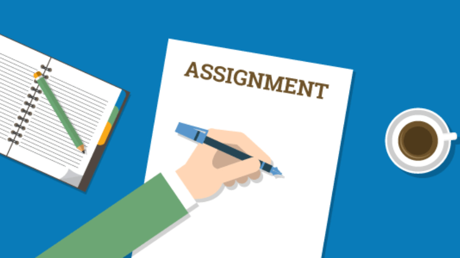 留學生作業(yè)輔導