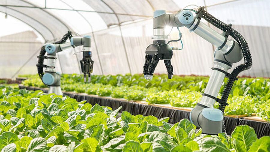 本科課程輔導(dǎo)