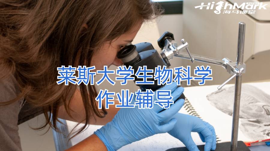 留學生作業(yè)輔導