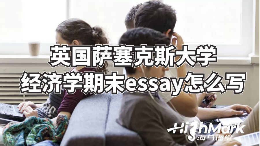 英國薩塞克斯大學經濟學期末essay怎么寫