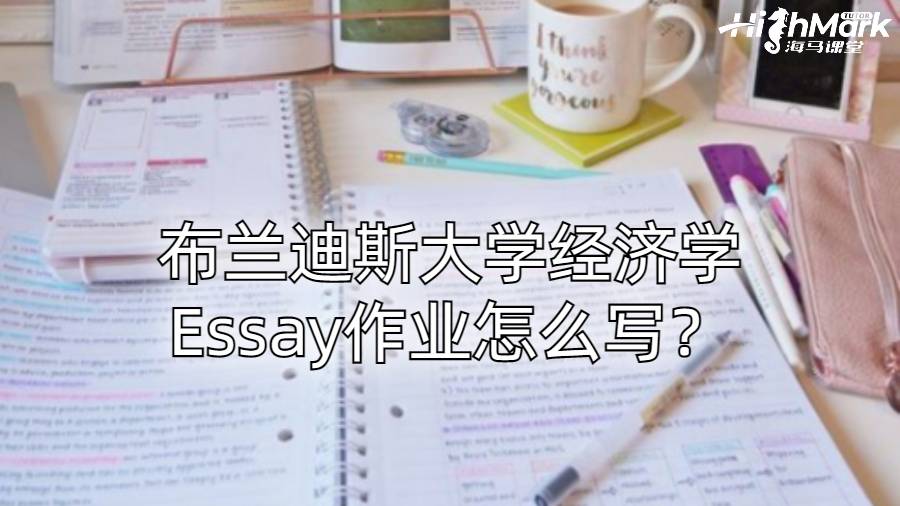 布蘭迪斯大學經濟學Essay作業怎么寫？