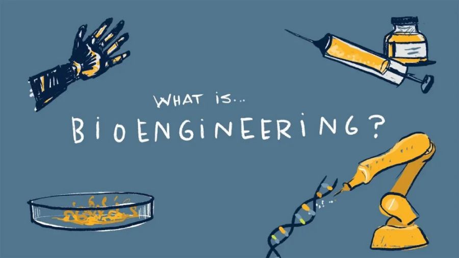 澳洲昆士蘭大學(xué)生物工程課程輔導(dǎo)