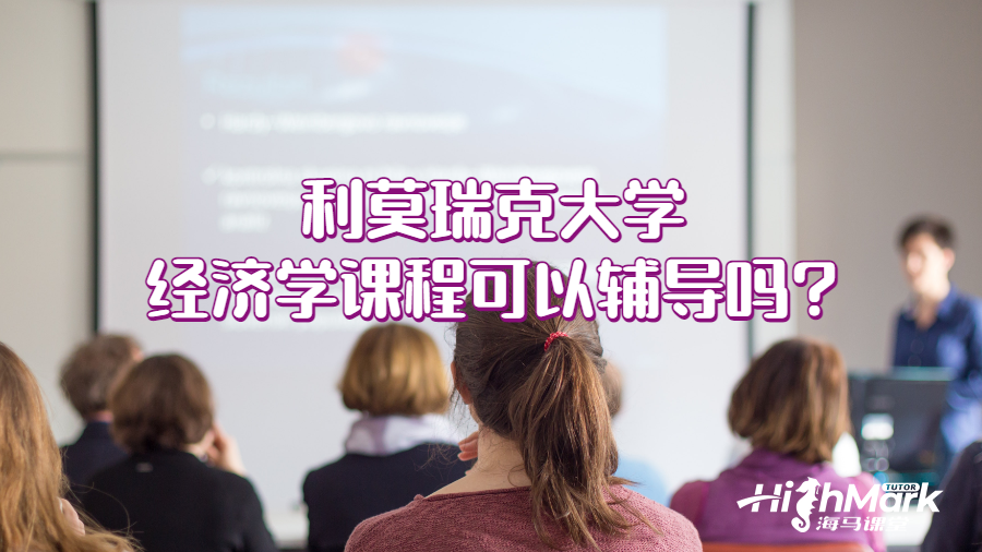 利莫瑞克大學經濟學課程可以輔導嗎?