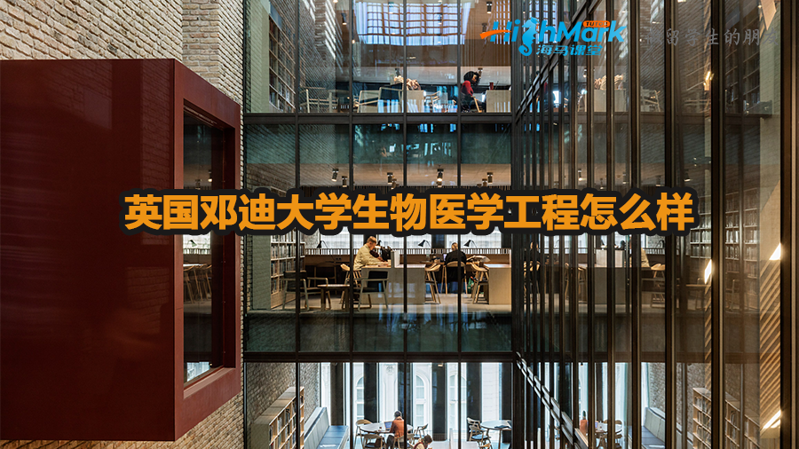 英國鄧迪大學生物醫學工程怎么樣