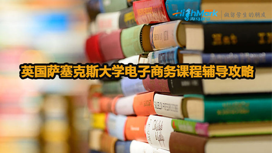 英國薩塞克斯大學電子商務課程輔導攻略
