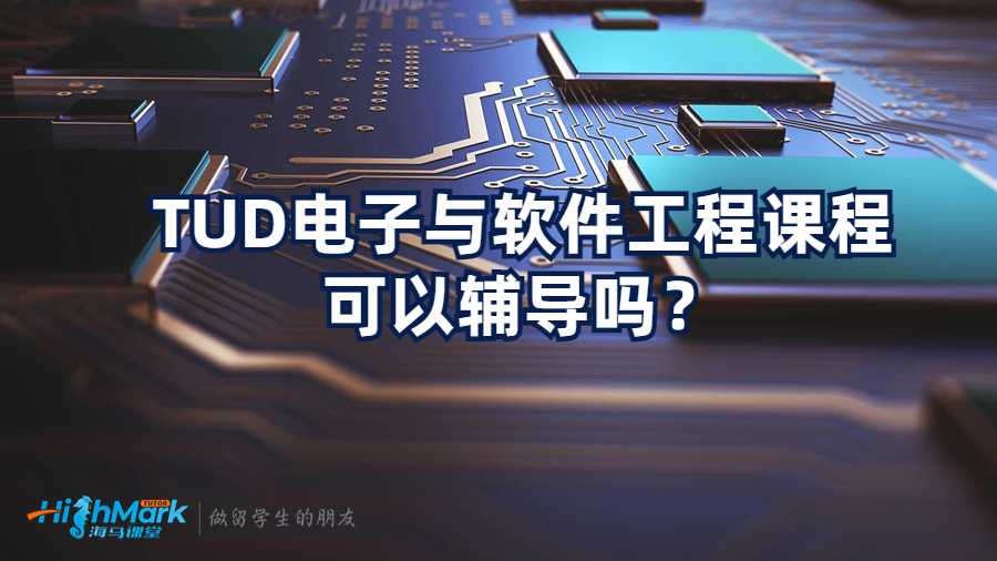 TUD電子與軟件工程課程可以輔導嗎?