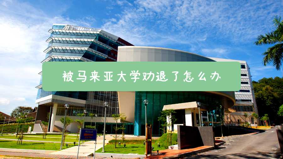 被馬來(lái)亞大學(xué)勸退了怎么辦