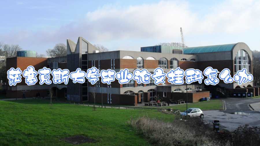 薩塞克斯大學(xué)畢業(yè)論文掛科怎么辦