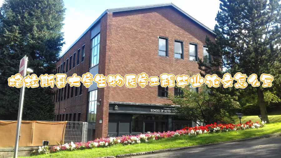 格拉斯哥大學生物醫學工程畢業論文怎么寫