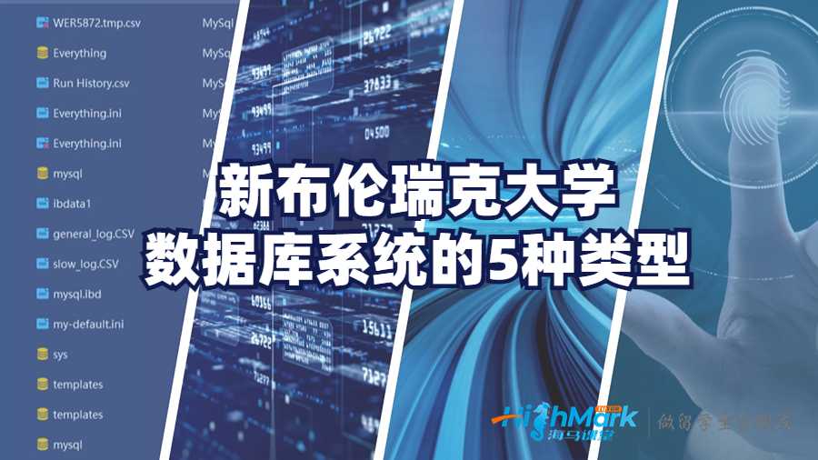 新布倫瑞克大學數據庫系統(tǒng)的5種類型