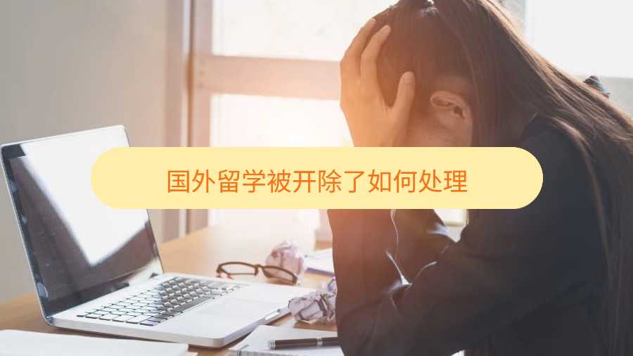 國外留學被開除了如何處理