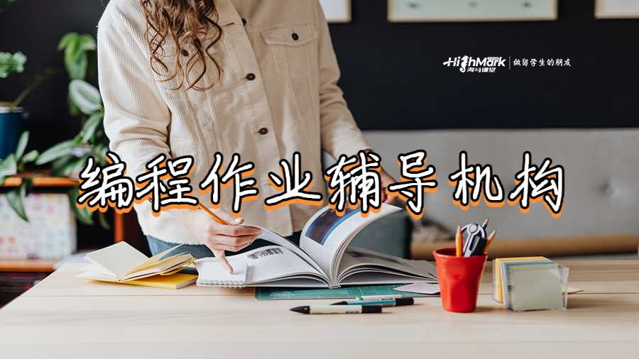 編程作業輔導機構