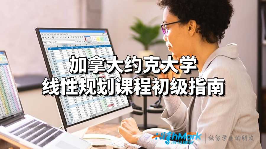 加拿大約克大學線性規劃課程初級指南