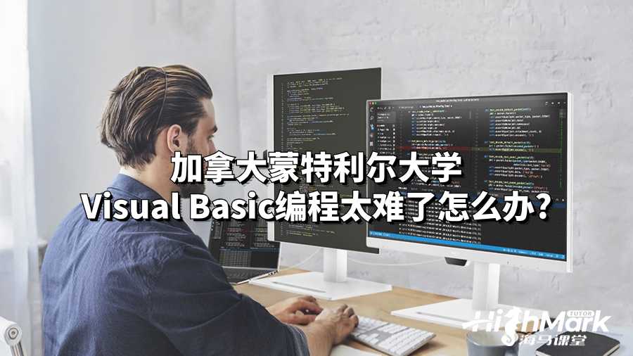 加拿大蒙特利爾大學(xué)Visual Basic編程太難了怎么辦?
