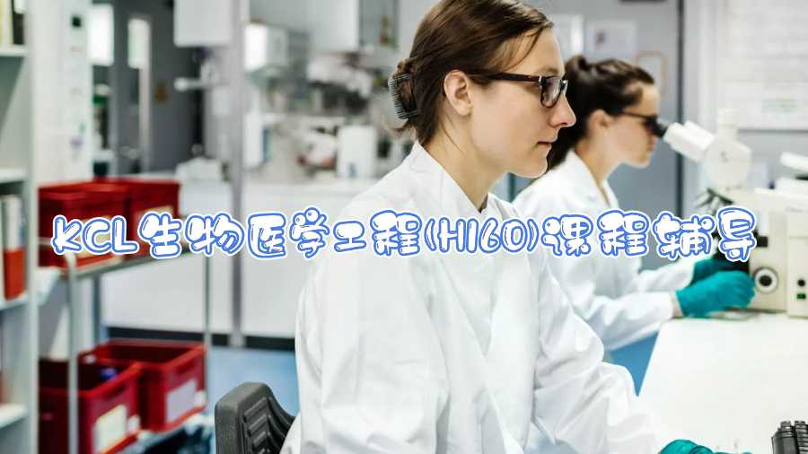 KCL生物醫學工程(H160)課程輔導什么