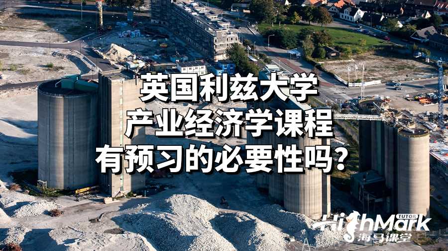 英國利茲大學產業經濟學課程有預習的必要性嗎？