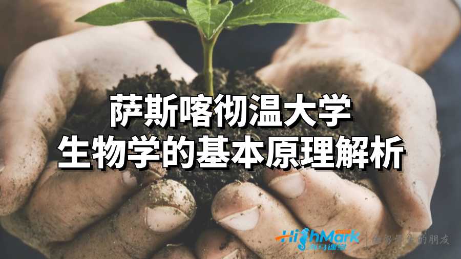 薩斯喀徹溫大學