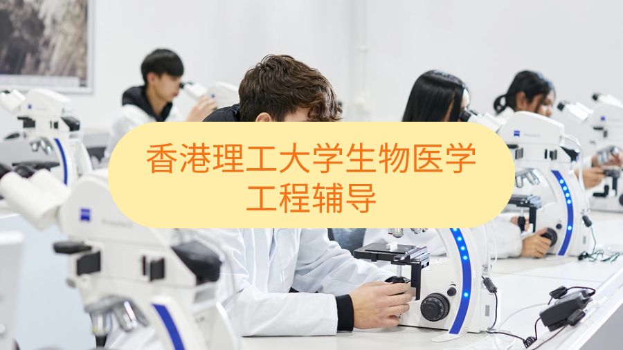 香港理工大學生物醫(yī)學工程輔導