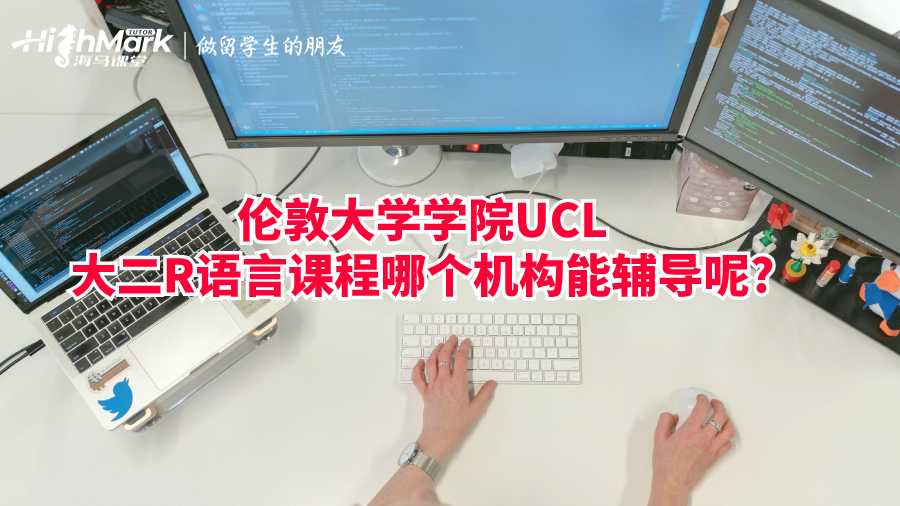 倫敦大學(xué)學(xué)院UCL大二R語言課程哪個機構(gòu)能輔導(dǎo)呢?