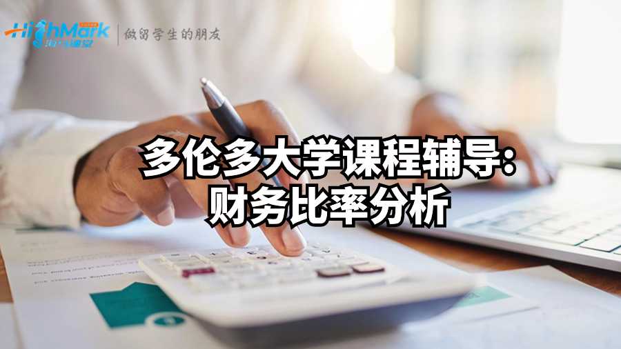 多倫多大學課程輔導;財務比率分析