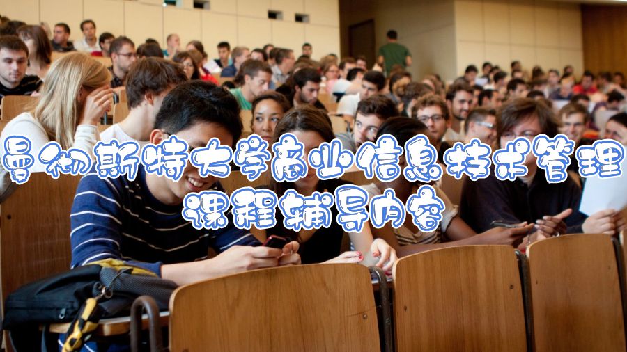 曼徹斯特大學商業信息技術管理課程輔導內容