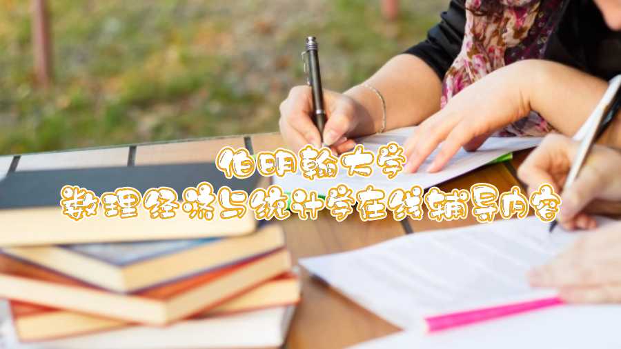 伯明翰大學數理經濟與統計學在線輔導內容