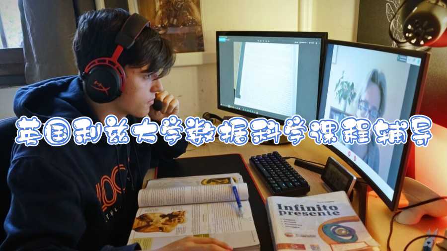 英國利茲大學數據科學課程輔導