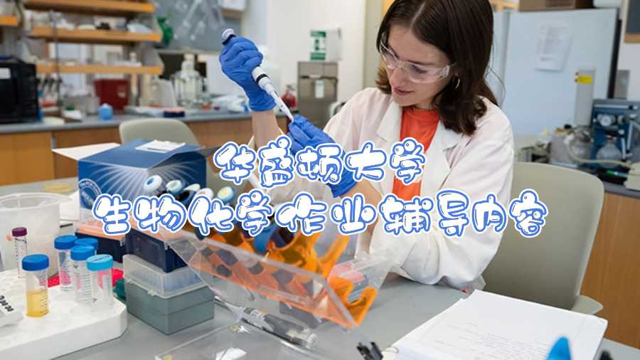 華盛頓大學生物化學作業輔導內容