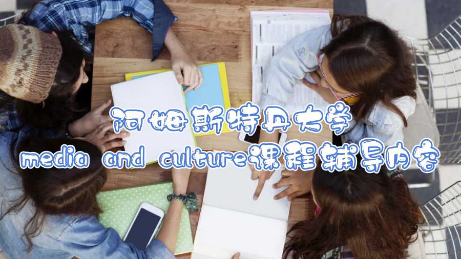 阿姆斯特丹大學media and culture課程輔導內容