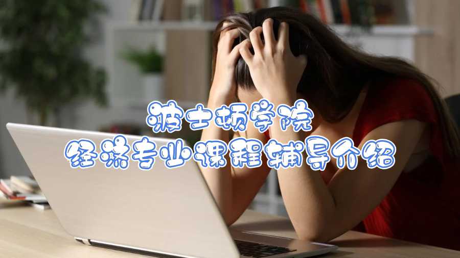 波士頓學院經濟專業課程輔導介紹