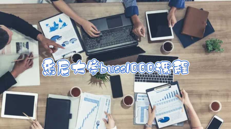 悉尼大學BUSS1000課程輔導