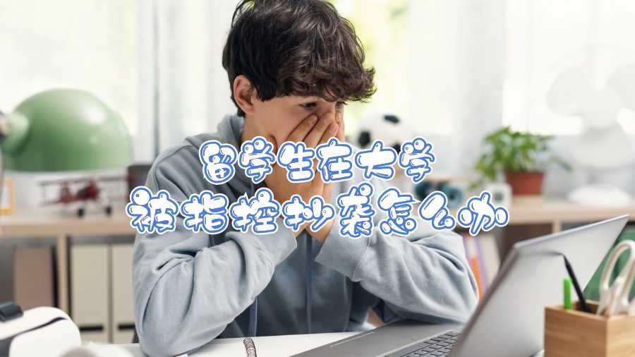 留學生在大學被指控抄襲怎么辦