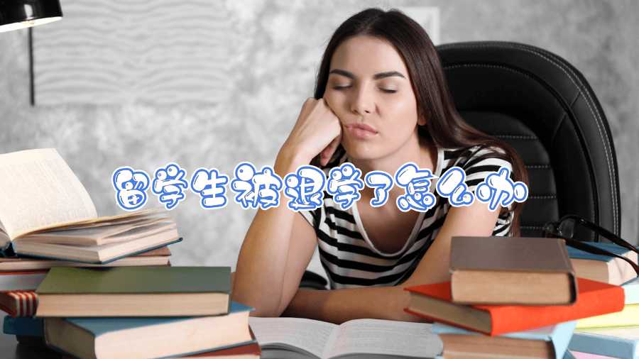 留學生被退學了怎么辦