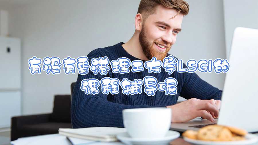 有沒有香港理工大學LSGI的課程輔導呢
