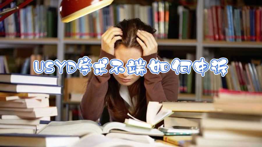 USYD學術(shù)不端如何申訴