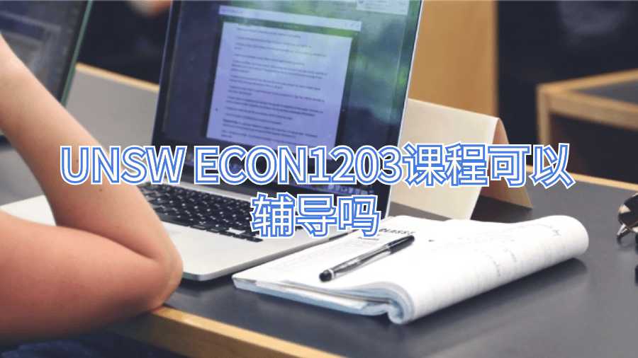UNSW ECON1203課程可以輔導嗎
