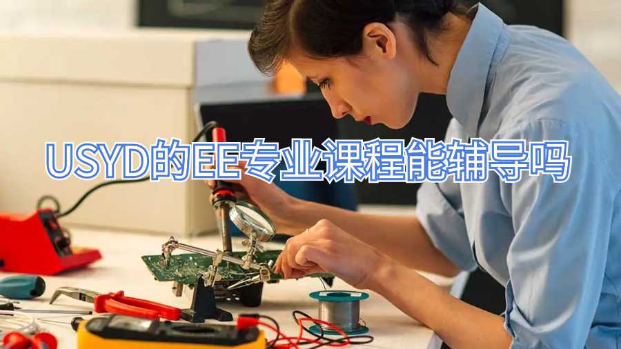 USYD的EE專業課程能輔導嗎