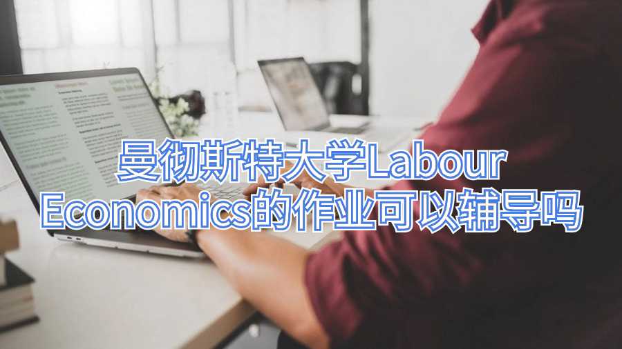 曼徹斯特大學Labour Economics的作業可以輔導嗎