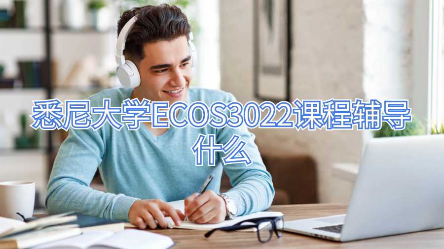 悉尼大學ECOS3022課程輔導什么
