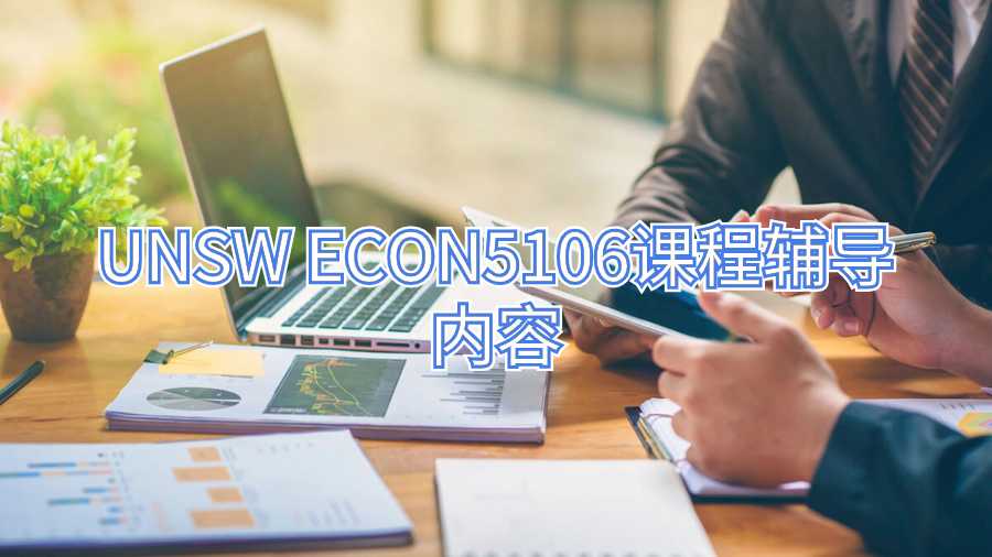 UNSW ECON5106課程輔導內容