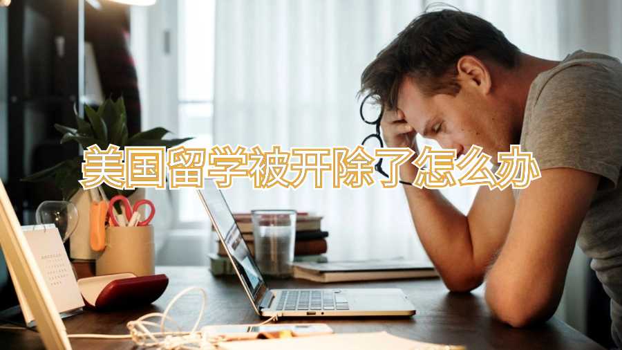 美國(guó)留學(xué)被開(kāi)除了怎么辦