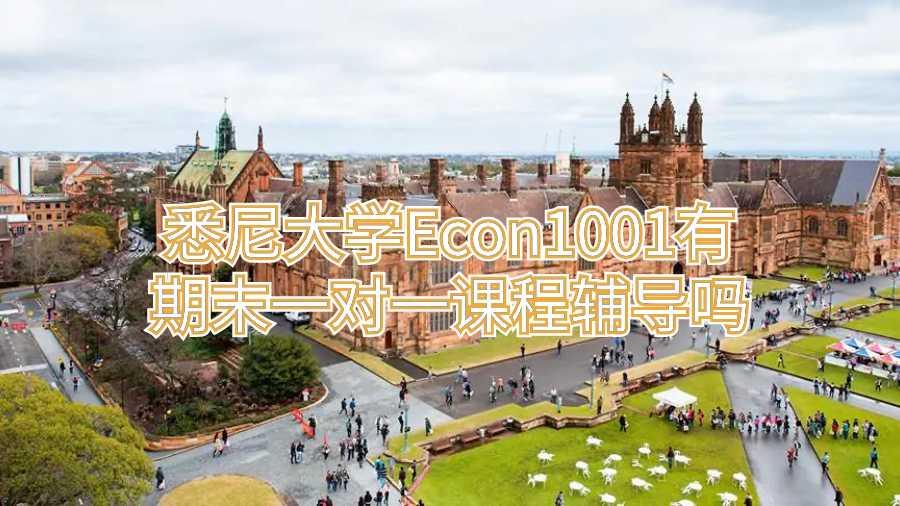 悉尼大學Econ1001有期末一對一課程輔導嗎