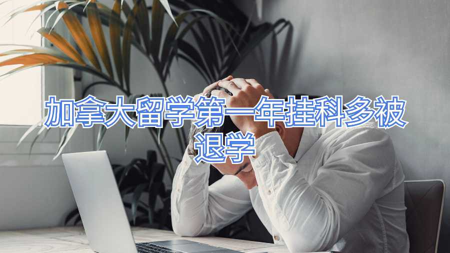 加拿大留學第一年掛科多被退學