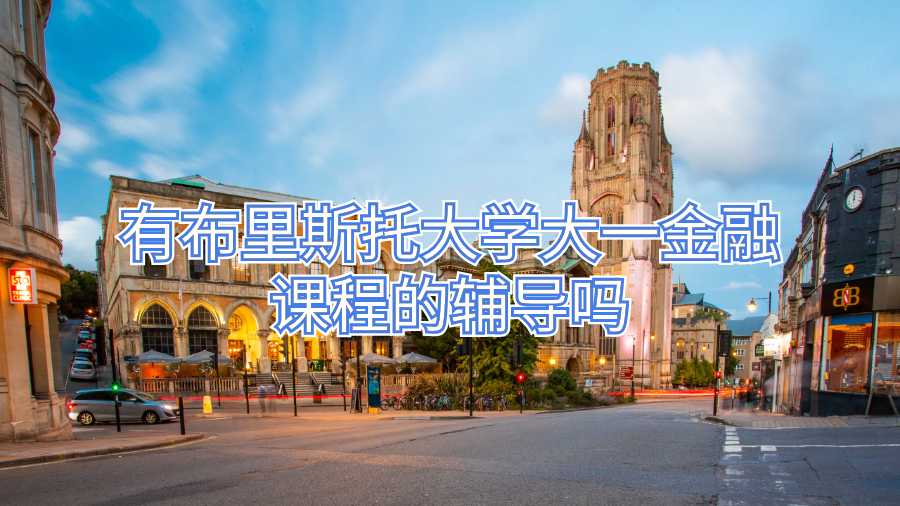 有布里斯托大學大一金融課程的輔導嗎