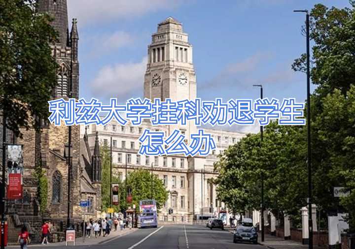 利茲大學掛科勸退學生怎么辦
